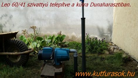 kutfej_leo.jpg