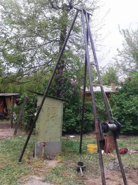 kutfuras_kiskunlachazan.jpg